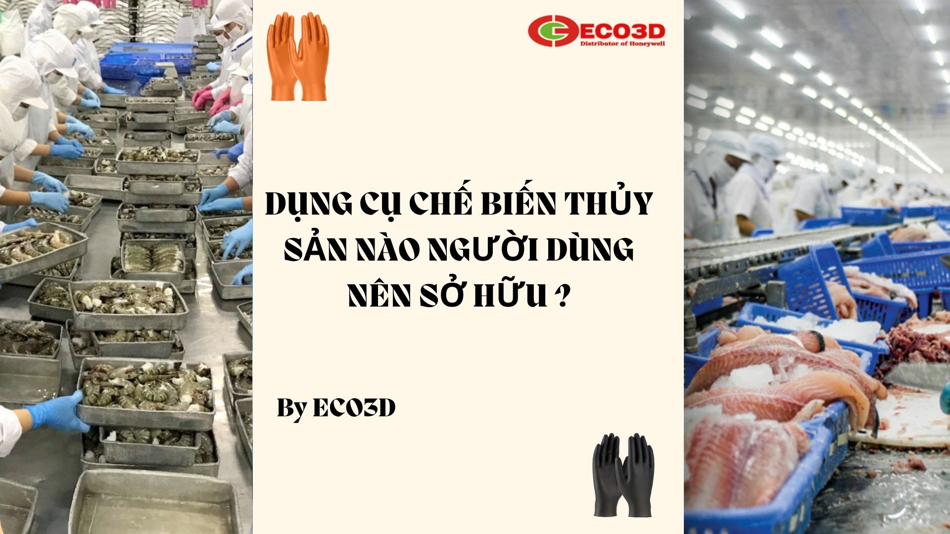 Dụng cụ chế biến thủy sản nào người dùng nên sở hữu ?